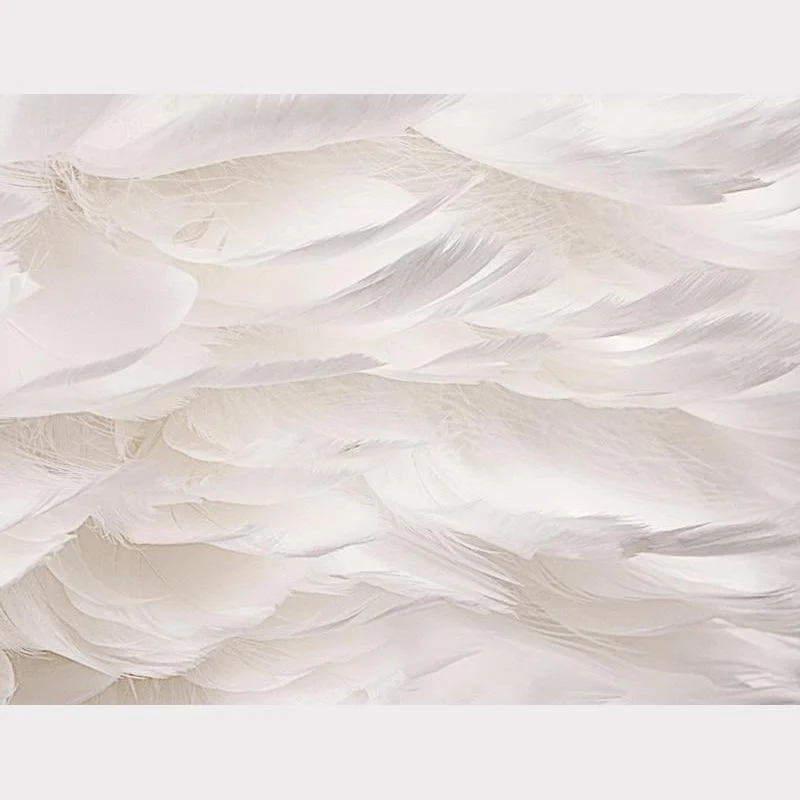 Feather Pendant Lamp - Image 13