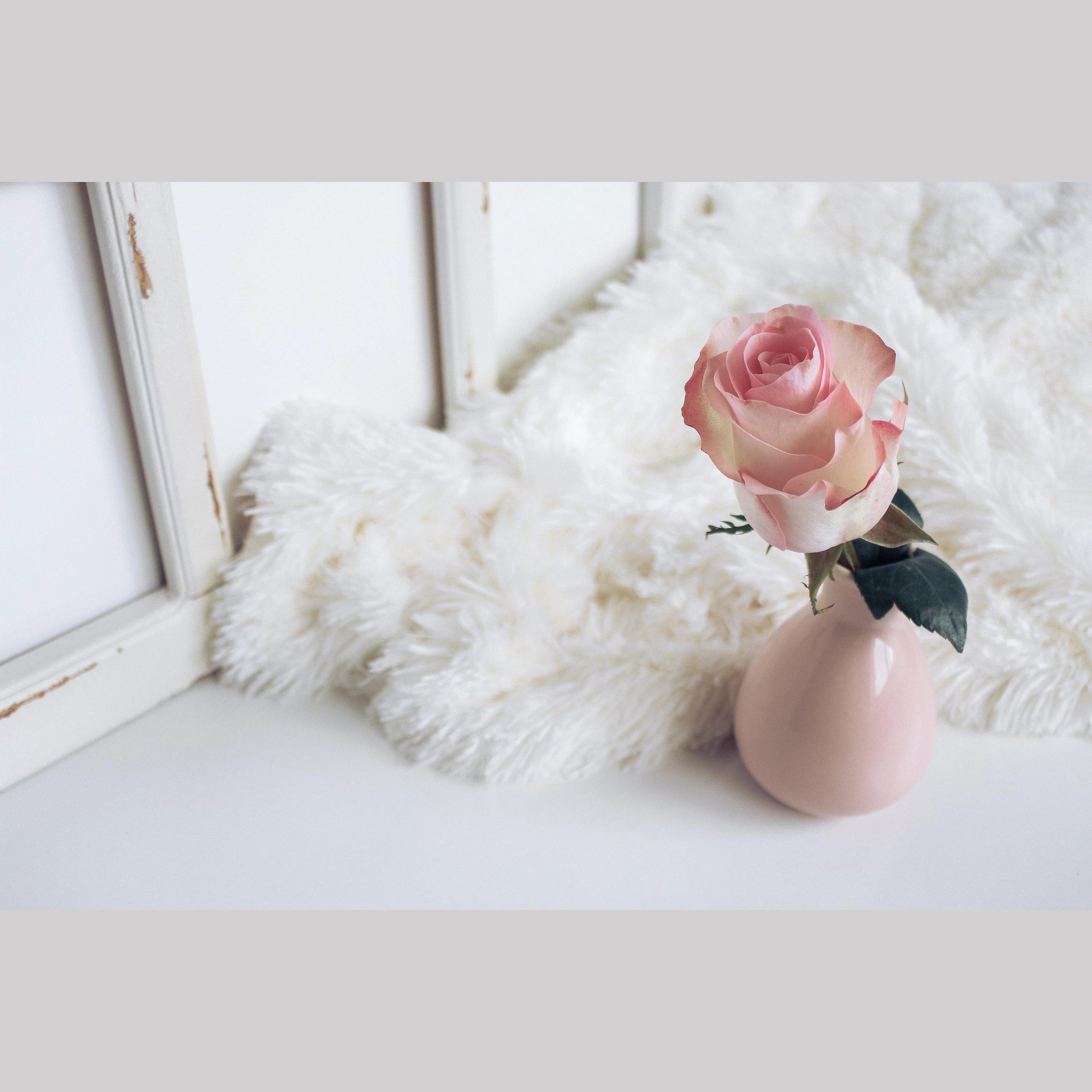 Fluffy Lambskin Rug - Image 3