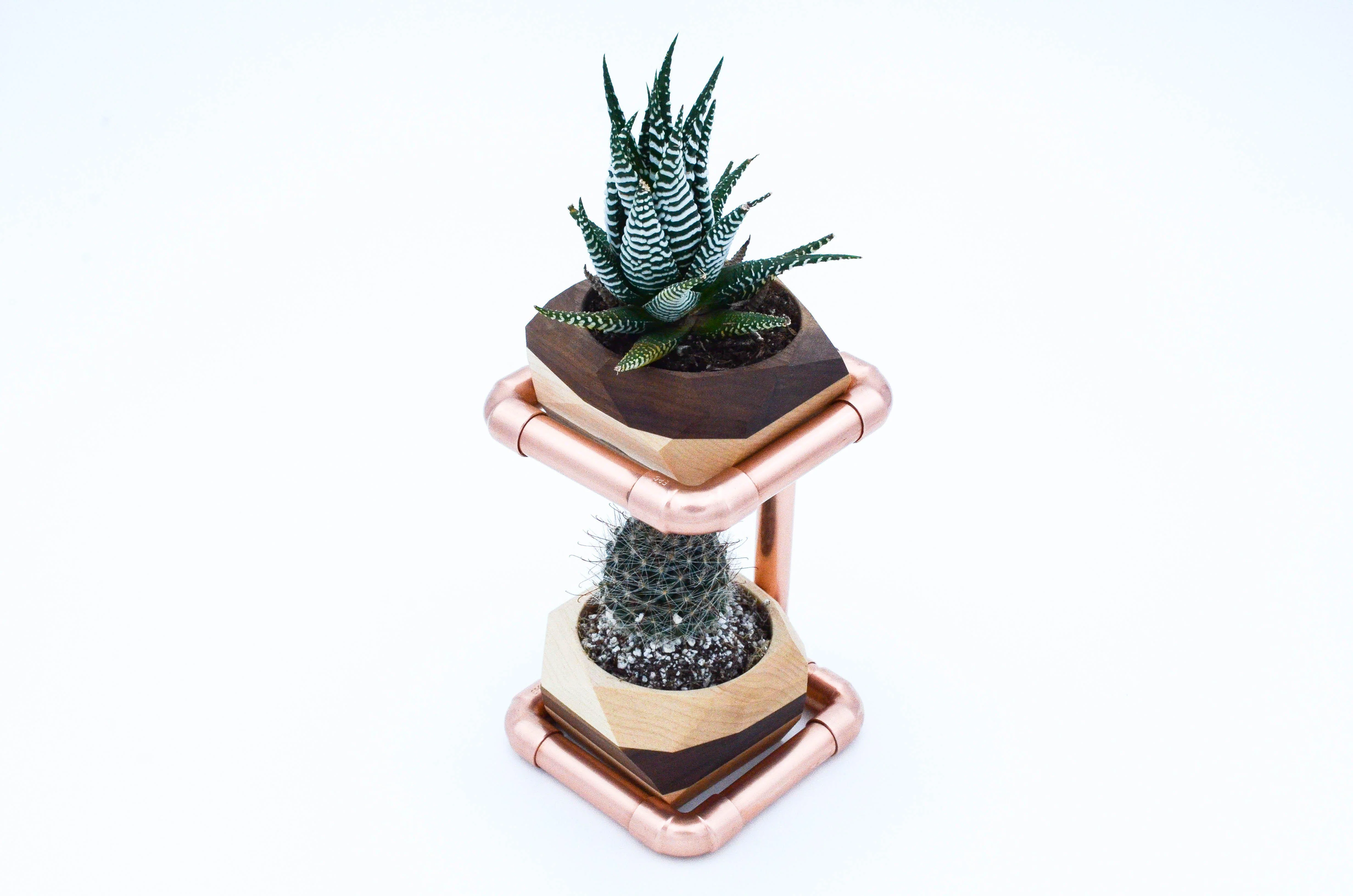 Geometric Double Cactus & Succulent Planter - Image 3
