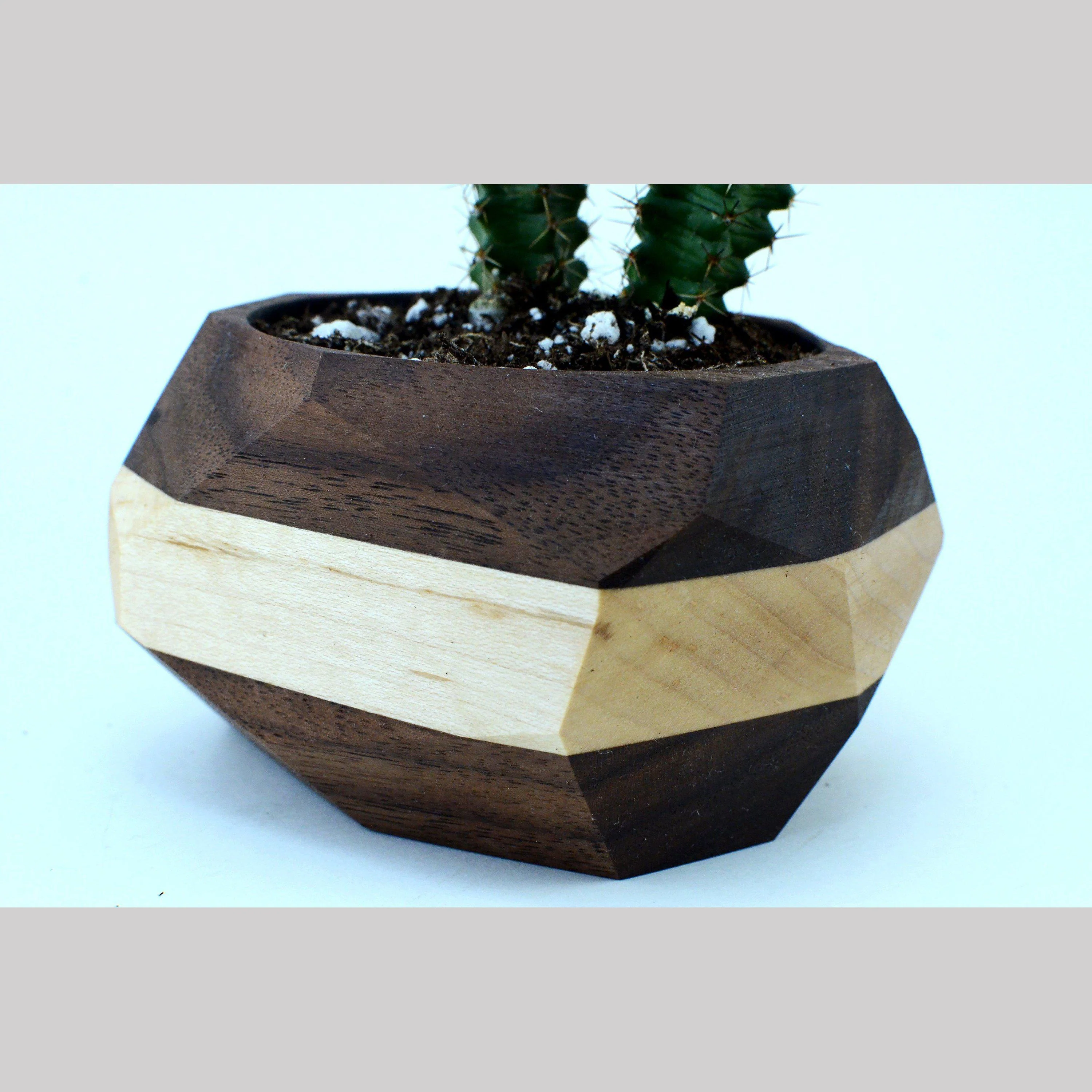 Maple and Walnut Planter - Image 4