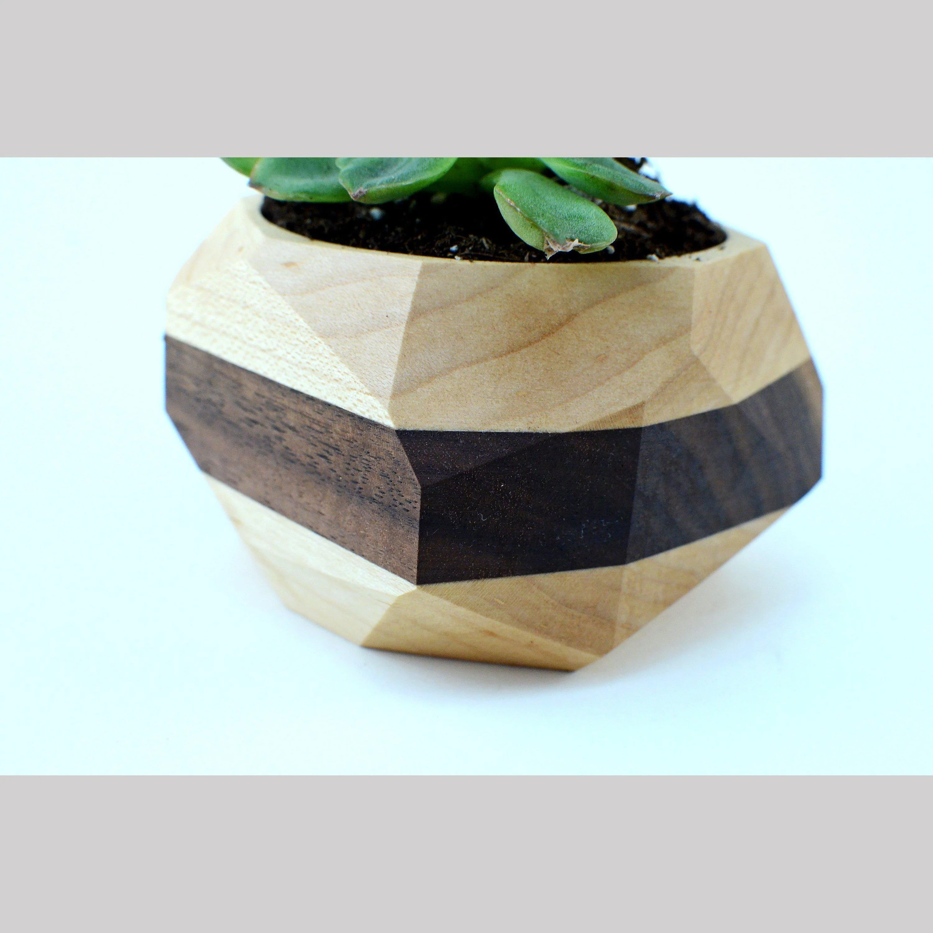 Maple and Walnut Planter - Image 5