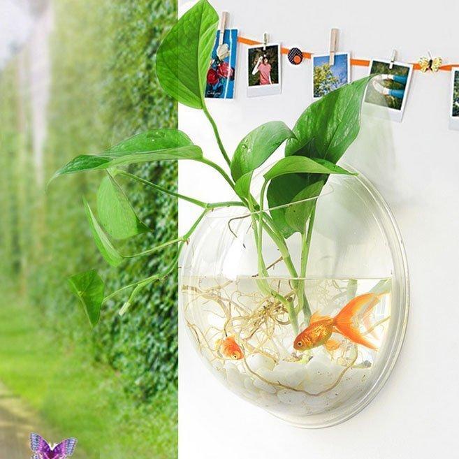 Wall Mounted Plant Bowl - Image 3