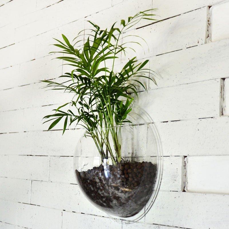 Wall Mounted Plant Bowl - Image 4